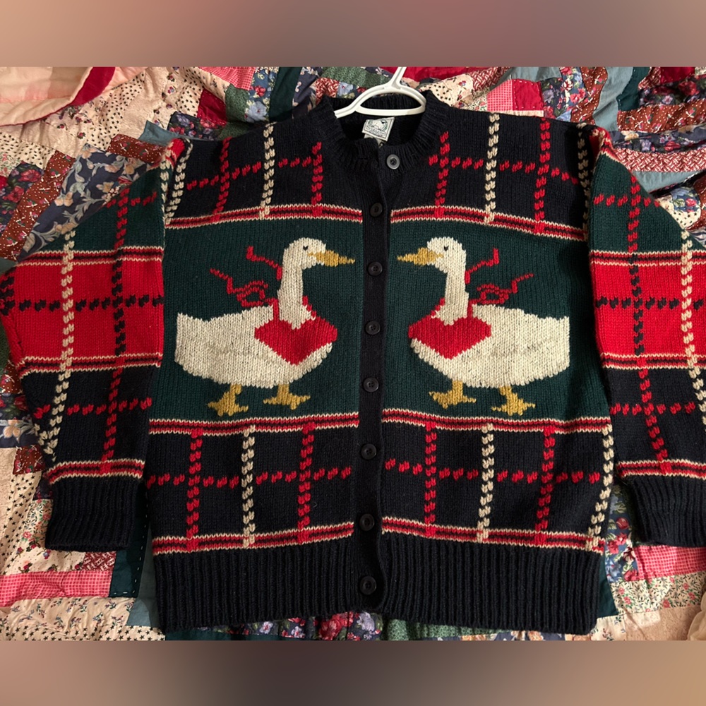 Vintage 80s thick wool duck cardigan. Lady’s a Champ. Blue, green & red. XL